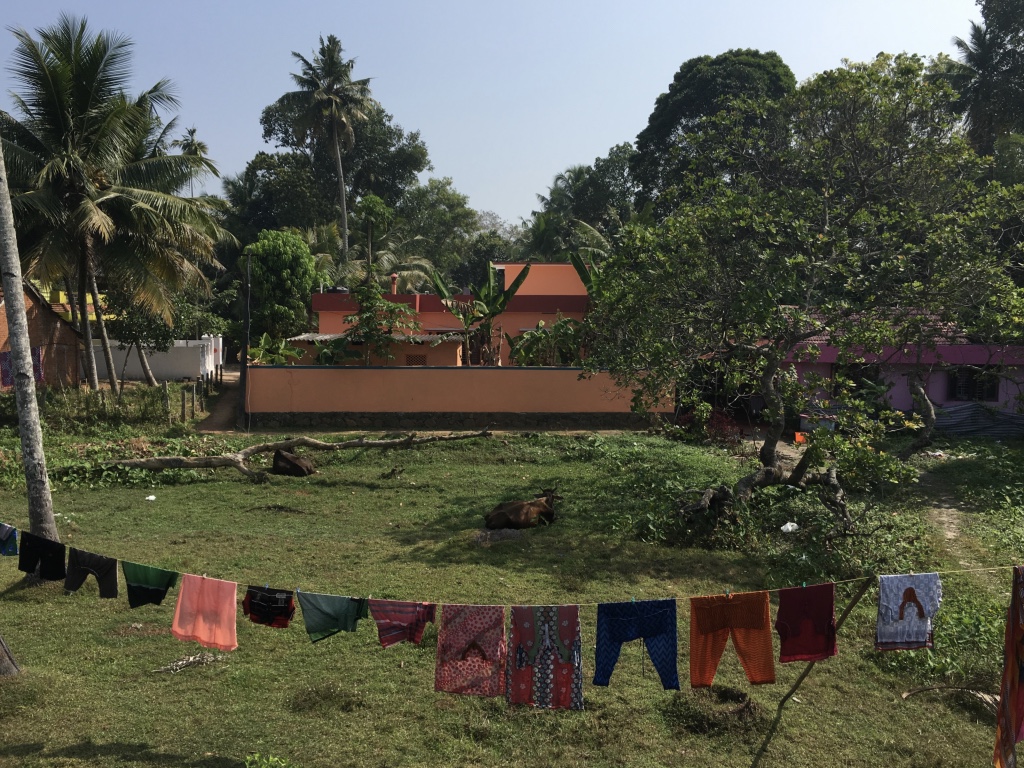 Washing drying in the jungle